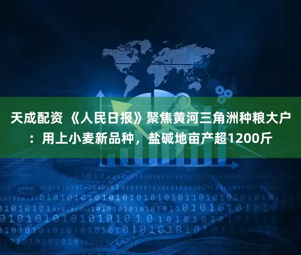 天成配资 《人民日报》聚焦黄河三角洲种粮大户：用上小麦新品种，盐碱地亩产超1200斤