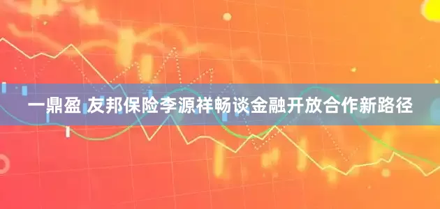 一鼎盈 友邦保险李源祥畅谈金融开放合作新路径