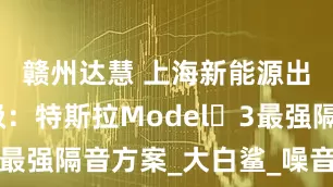 赣州达慧 上海新能源出行的升级：特斯拉Model 3最强隔音方案_大白鲨_噪音_需求