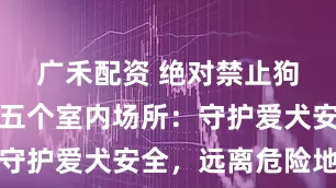 广禾配资 绝对禁止狗狗进入的五个室内场所：守护爱犬安全，远离危险地带
